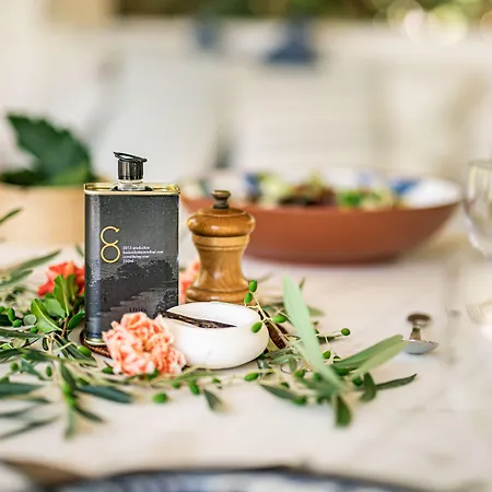 Hacienda De San Rafael Las Cabezas de San Juan