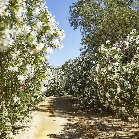 Hacienda De San Rafael 3*