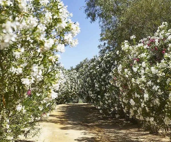 Hacienda De San Rafael 3*